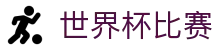 世界杯比赛_历届冠军、赛程比分与资料查询